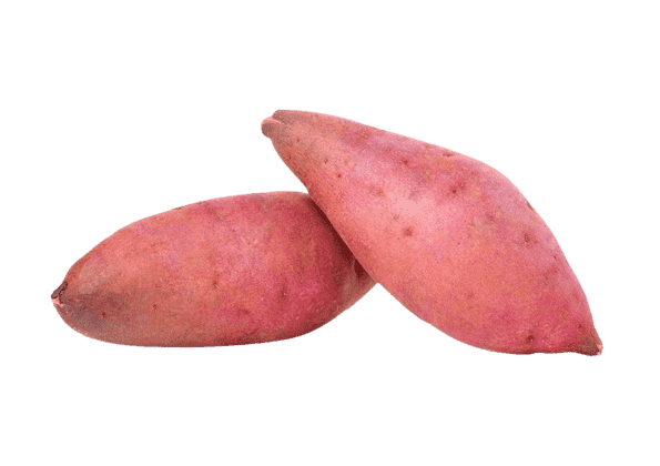 Sweet Potato